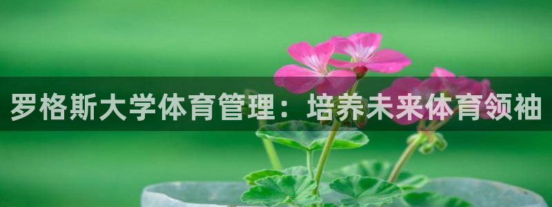 必一运动官网入口