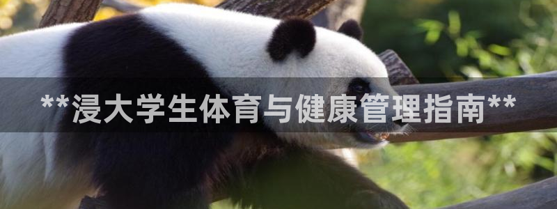 必一体育运动平台官网