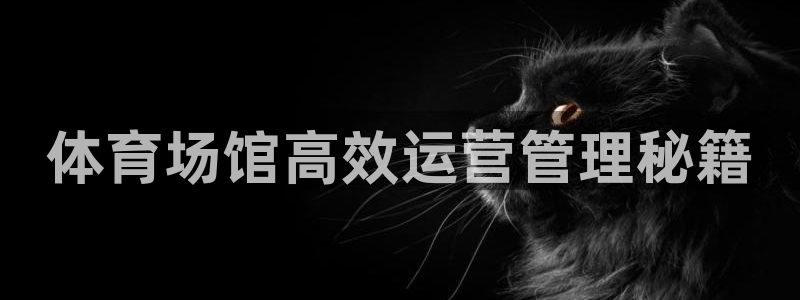 Bsport体育必一