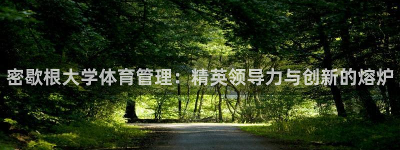 必一体育秀给网：密歇