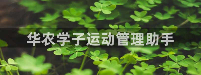 必一运动aop