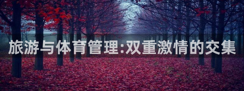 必一体育官网app：