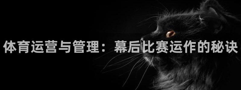 必一体育最新官网入口首页
