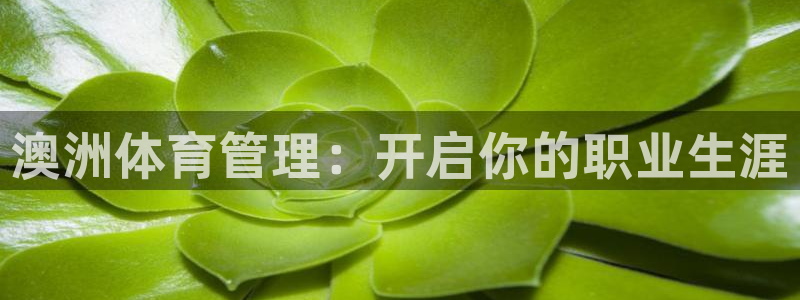 必一体育下载app：
