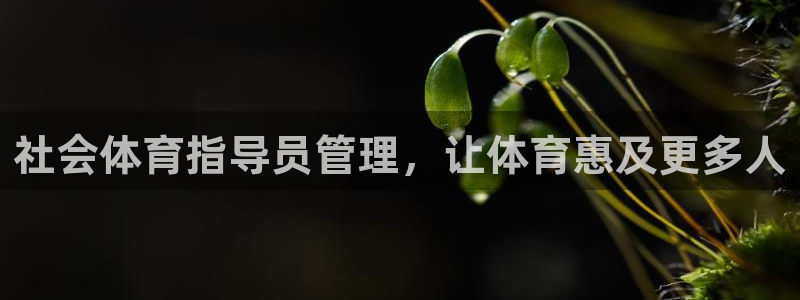 必一运动体育