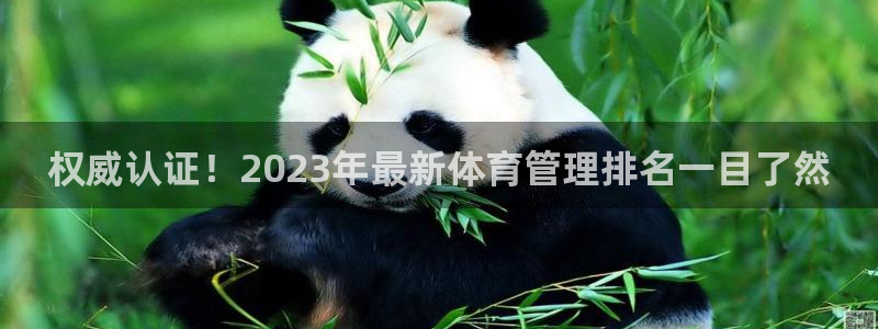 必一体育下载移动版：