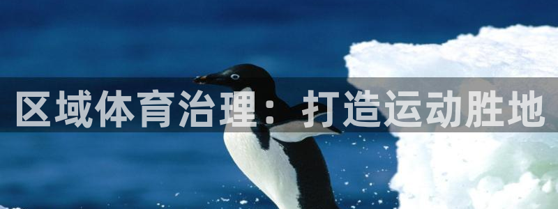 b体育必一下载