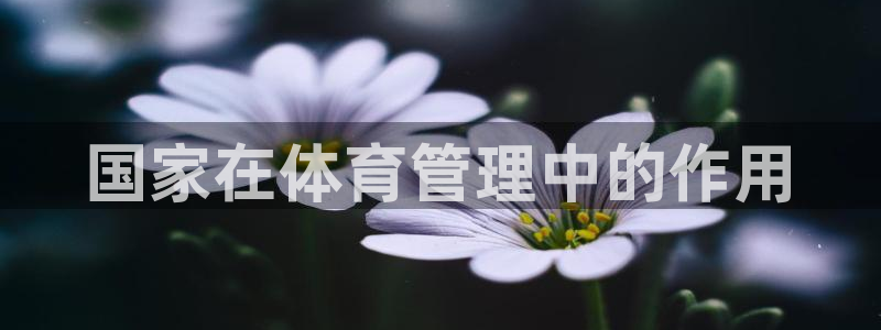必一体育在哪下