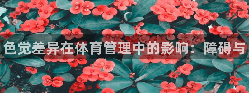 必一体育