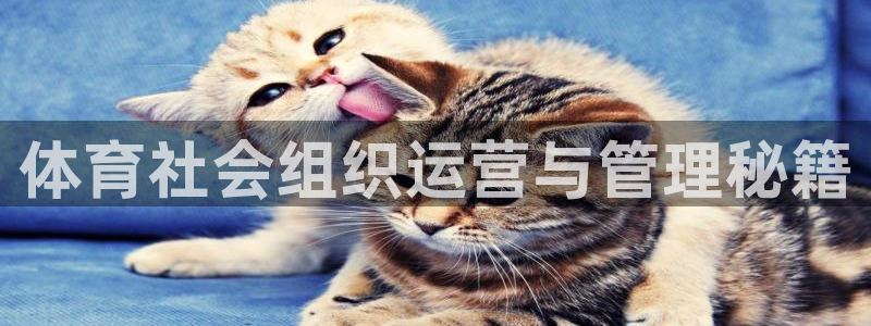 氵必一一厂一