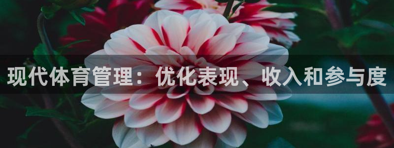 必一体育全站在线登录