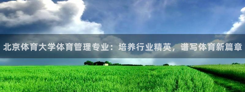 必一体育sport官方网站