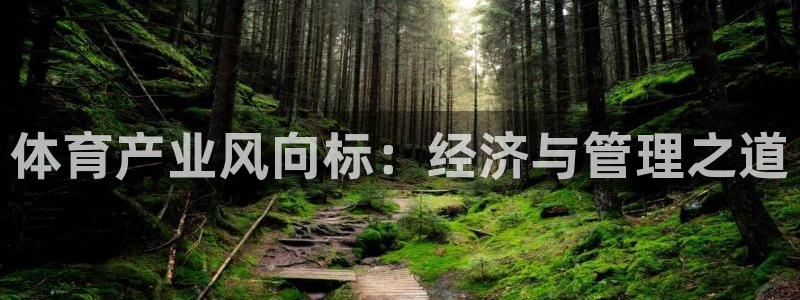 b体育官网下载入口app必一