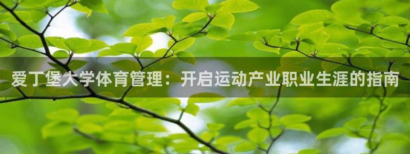 必一体育平台