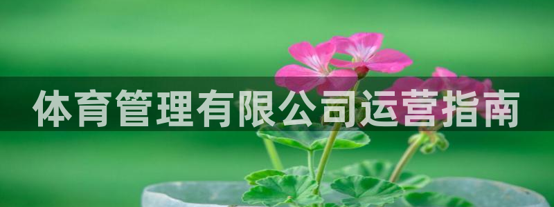 必一运动·(B-Sp