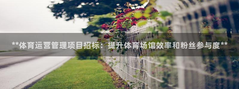 必一体育服下载最新版