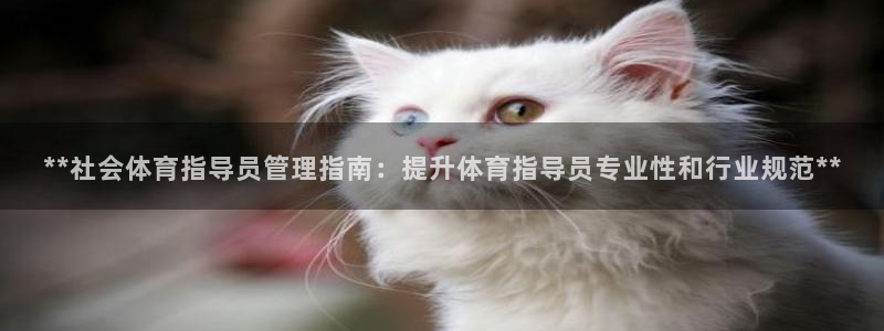 必一体育旧版：**社