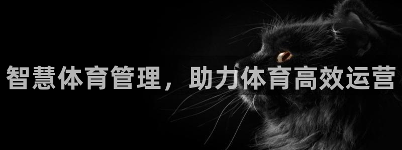 必一体育黑钱
