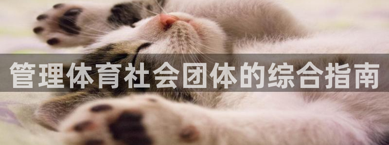 必一运动验证码：管理