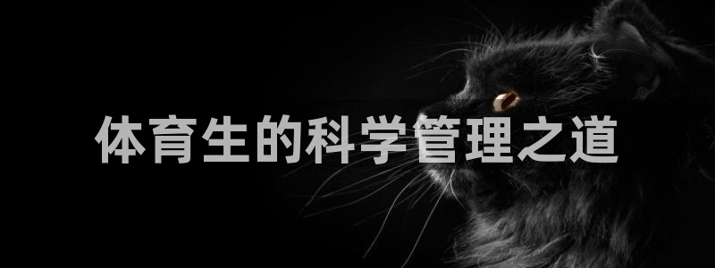 必一体育官网app