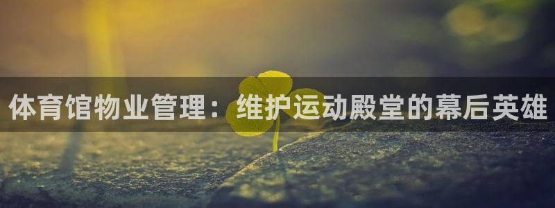 b体育必一下载