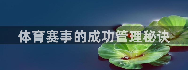 必一体育服下载最新版本更新内容