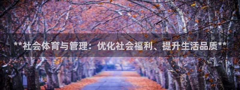 必一体育sport装