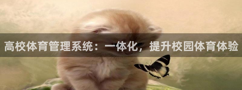 必一体育验证码