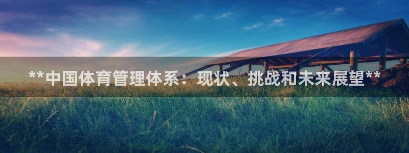必一体育没了