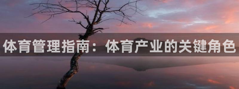 必一体育