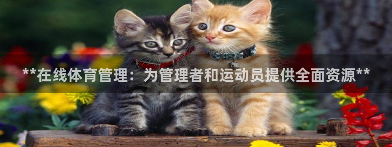 必一体育登录入口AP