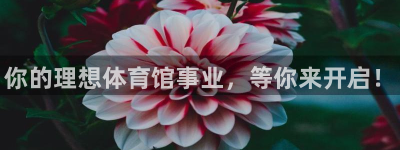 必一运动·(B-sp