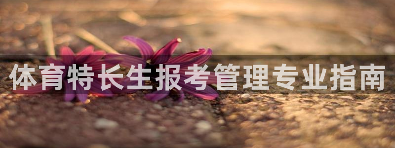 必一体育下载意思