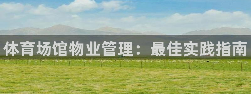 必一体育bsport