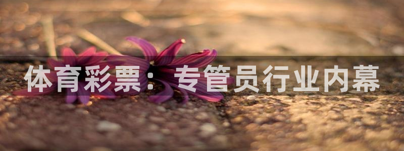 必一运动官网装机吧
