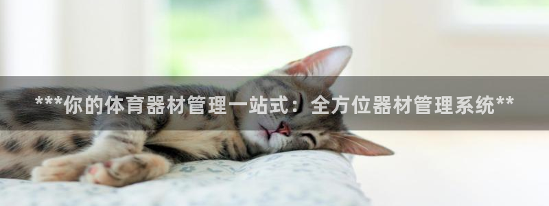 必一体育手机下载