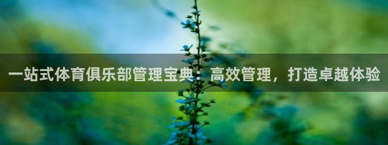 必一体育下载移动版：