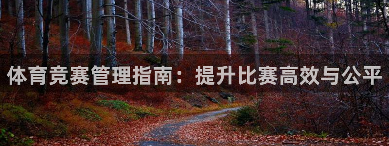 必一体育bsport
