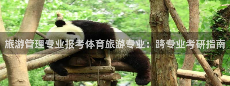 必一体育sportB