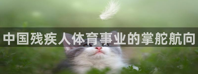 必一体育官方网站入口