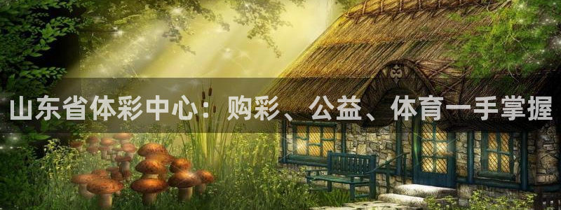 必一体育官网网站