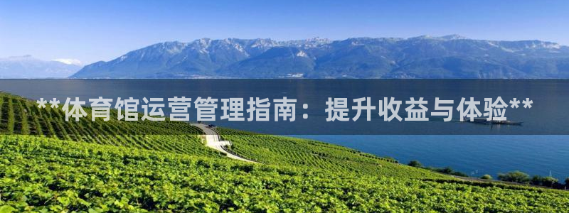 必一体育网页版登录：