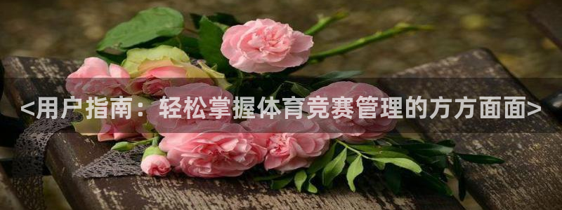 必一体育sport官