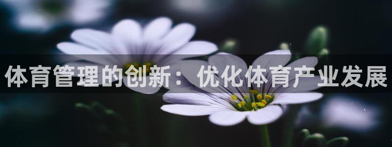 必一运动官网登录入口