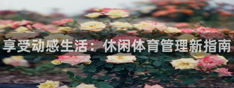必一体育秀给网