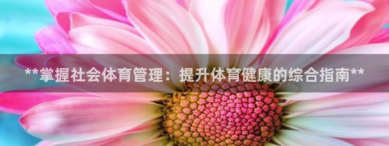 必一体育登录入口：*