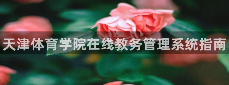 必一体育是哪里的台子