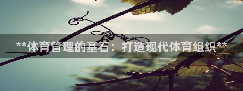 必一体育在线官网