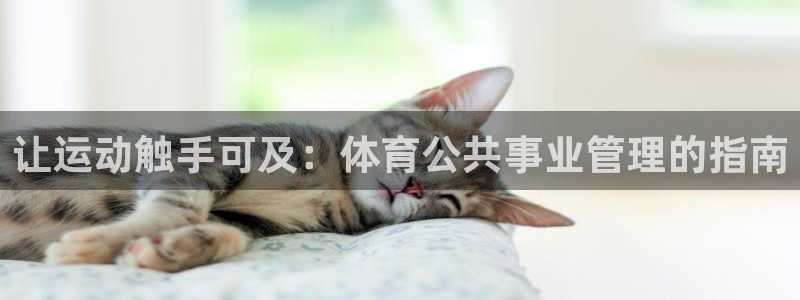 必一体育登录