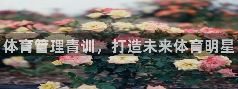 必一运动tieba.